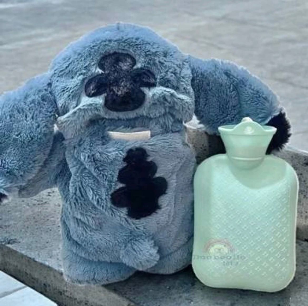 Softdreams Cute Cartoon Plush Soft Toy with Hot Water Bag