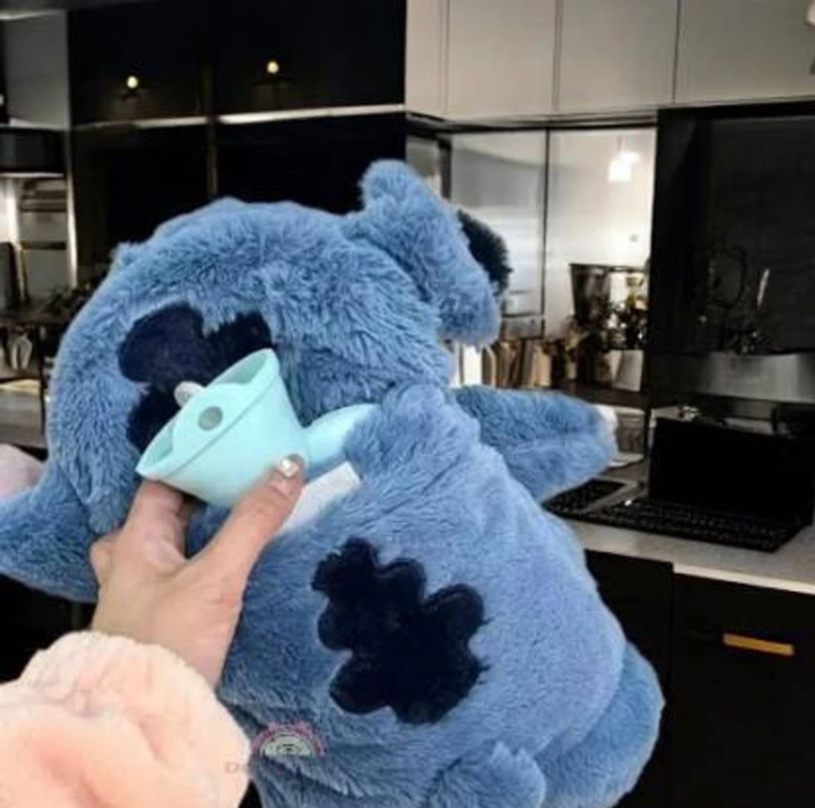 Softdreams Cute Cartoon Plush Soft Toy with Hot Water Bag